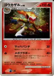 ゴウカザル / Infernape  卡牌