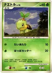 ナエトル / Turtwig  卡牌