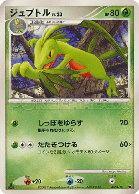 ジュプトル / Grovyle 002/014 卡牌