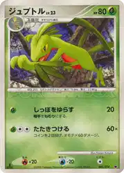 ジュプトル / Grovyle 002/014 卡牌