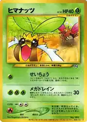 Sunkern  卡牌