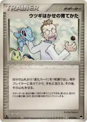 Professor Elm's Training Method 014/024 卡牌