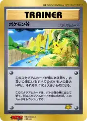 Pokémon Valley  卡牌