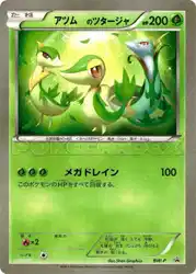 _____'s Snivy  卡牌