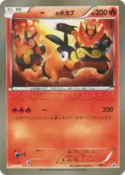 _____'s Tepig  卡牌