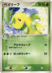 Bayleef 002/016 卡牌