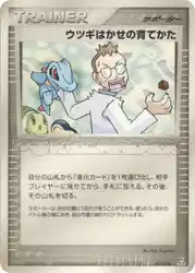 Professor Elm's Training Method 013/016 卡牌