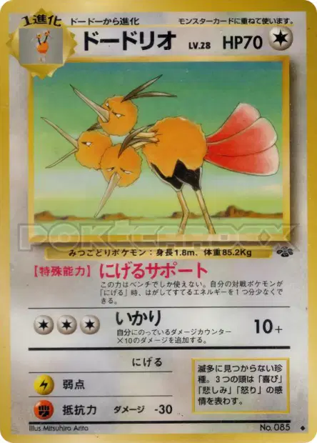 Dodrio  卡牌