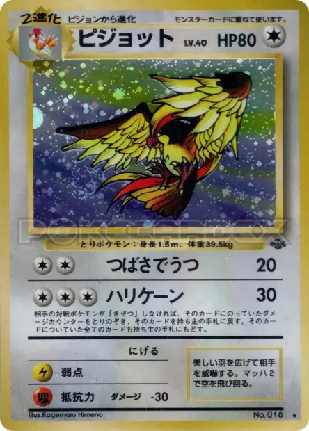 ピジョット / Pidgeot  卡牌