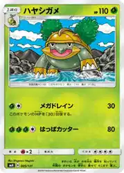 ハヤシガメ / Grotle 005/131 卡牌