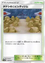 Brock's Pewter City Gym 030/031 卡牌