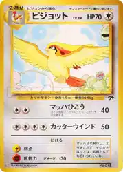 ピジョット / Pidgeot 2/18 卡牌