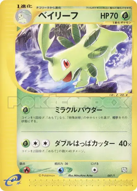 Bayleef 007/T 卡牌