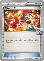 Gym Badge (Flannery)  卡牌
