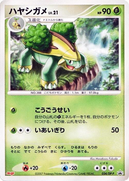 ハヤシガメ / Grotle 034/DP-P 卡牌